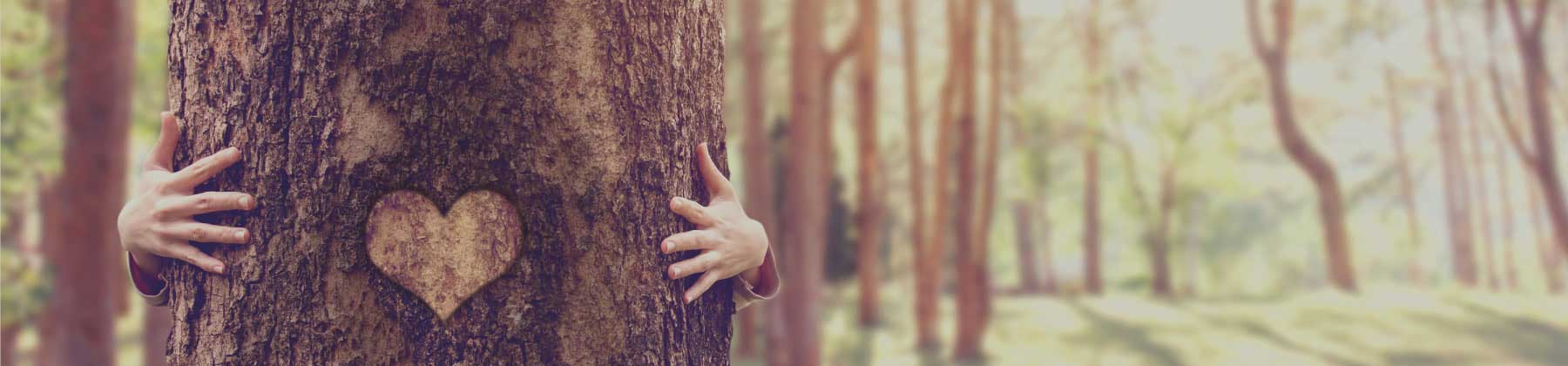 obiettivi ONU di sviluppo sostenibile obiettivi ONU di sviluppo sostenibile