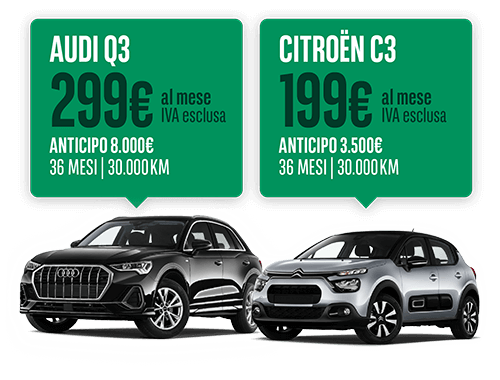 Noleggio a lungo termine per aziende Audi Q3 e Citroen C3