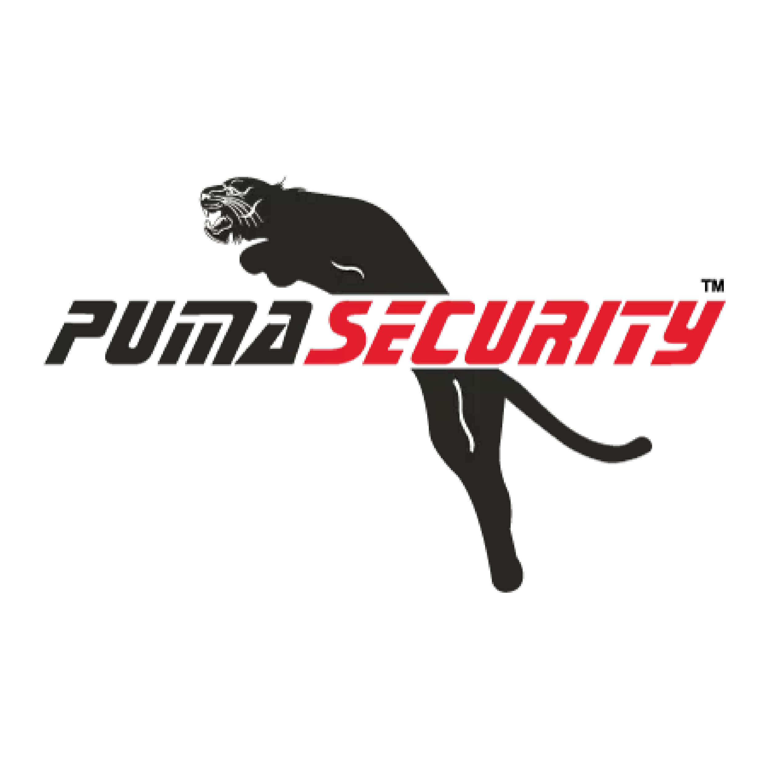 Logo Puma Secutiry