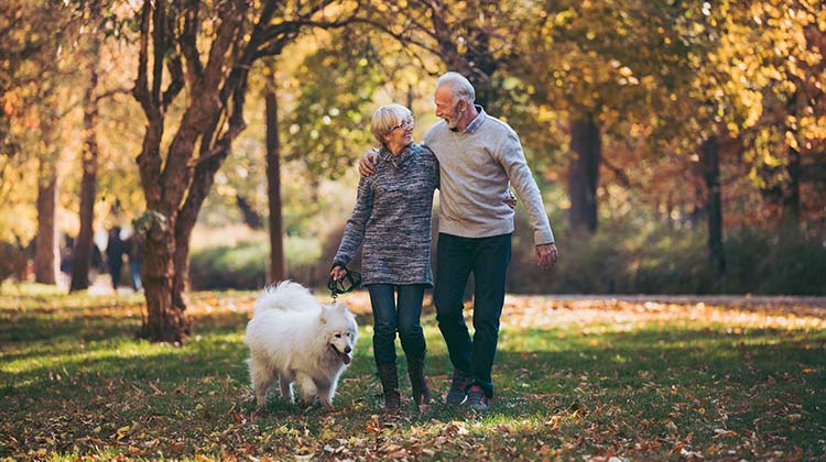 Coppia uomo e donna pensionati passeggiano con il loro cane bianco in un parco nella stagione autunnale