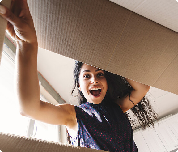 <p>Shopping online</p>
