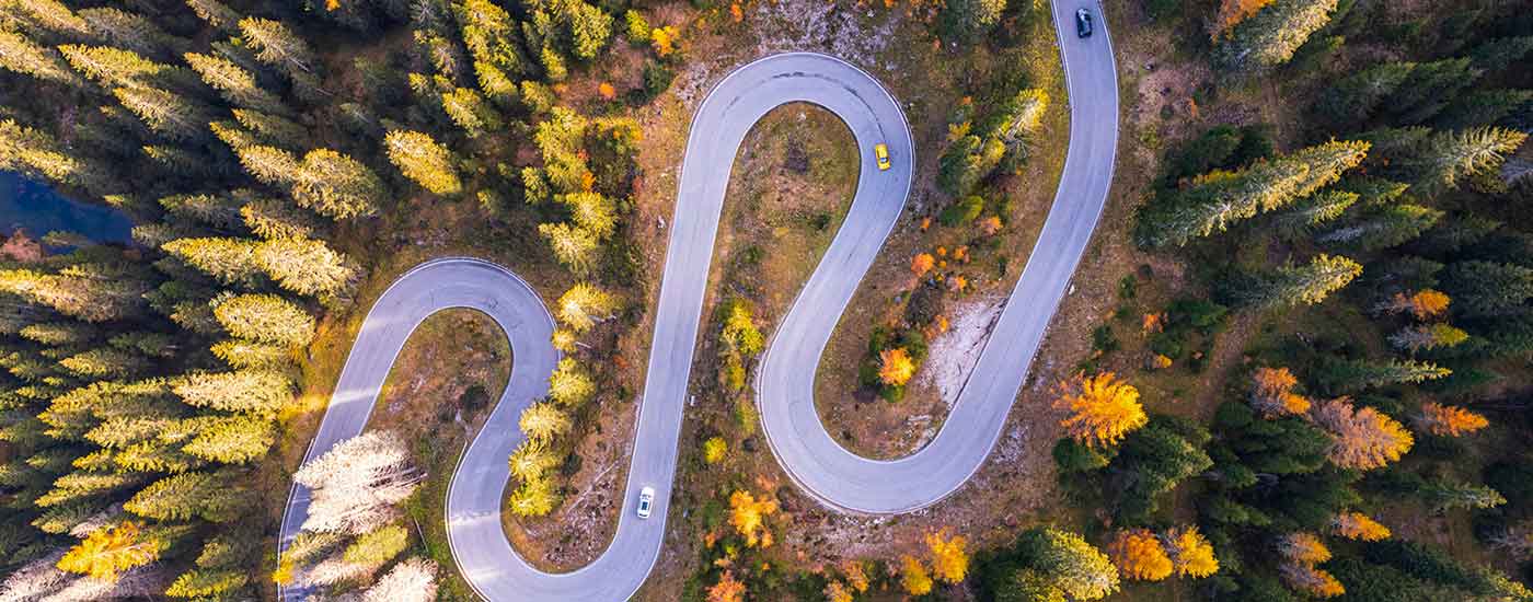 Strada circondata da alberi vista dall'alto